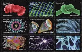 2023 US Life Magnified Forever Stamp Sheets of 20
