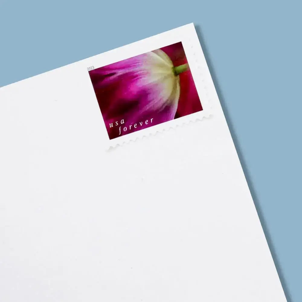 2023 US Tulip Blossoms Forever Stamp Sheets of 20