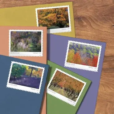 2024 US Autumn Colors Forever Stamps Sheets of 20