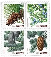 2009 US Holiday Evergreens First Class Stamp Sheets of 20