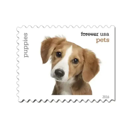 2016 US Pets Stamps First Class Mail Sheets of 20