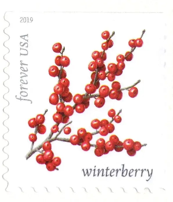2019 US Winter Berries Forever Stamps Sheets of 20