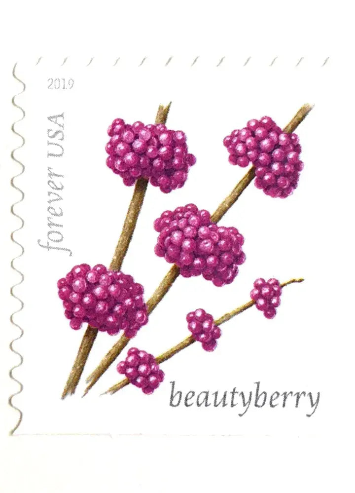 2019 US Winter Berries Forever Stamps Sheets of 20