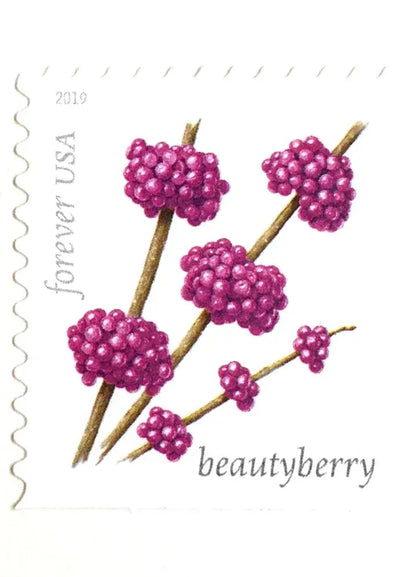 2019 US Winter Berries Forever Stamps Sheets of 20
