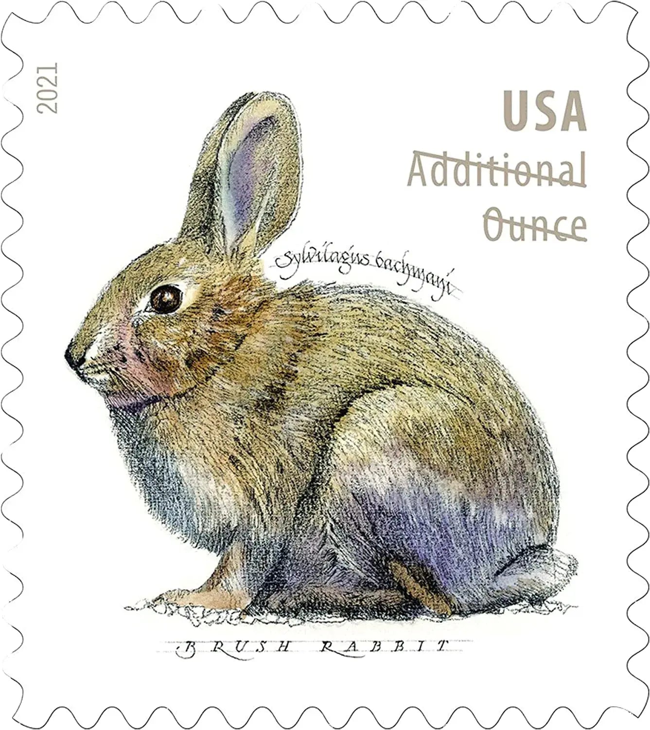 2021 US Brush Rabbit Forever Stamp Sheets of 20