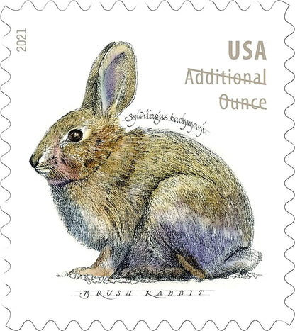 2021 US Brush Rabbit Forever Stamp Sheets of 20