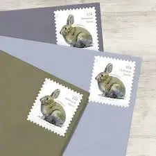 2021 US Brush Rabbit Forever Stamp Sheets of 20