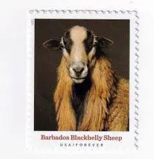 2021  new  heritage  breeds  usps  forever  postage  stamps Sheets of 20
