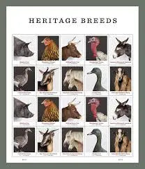 2021  new  heritage  breeds  usps  forever  postage  stamps Sheets of 20