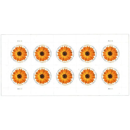 2022 US Global Forever African Daisy Stamp Sheets of 10