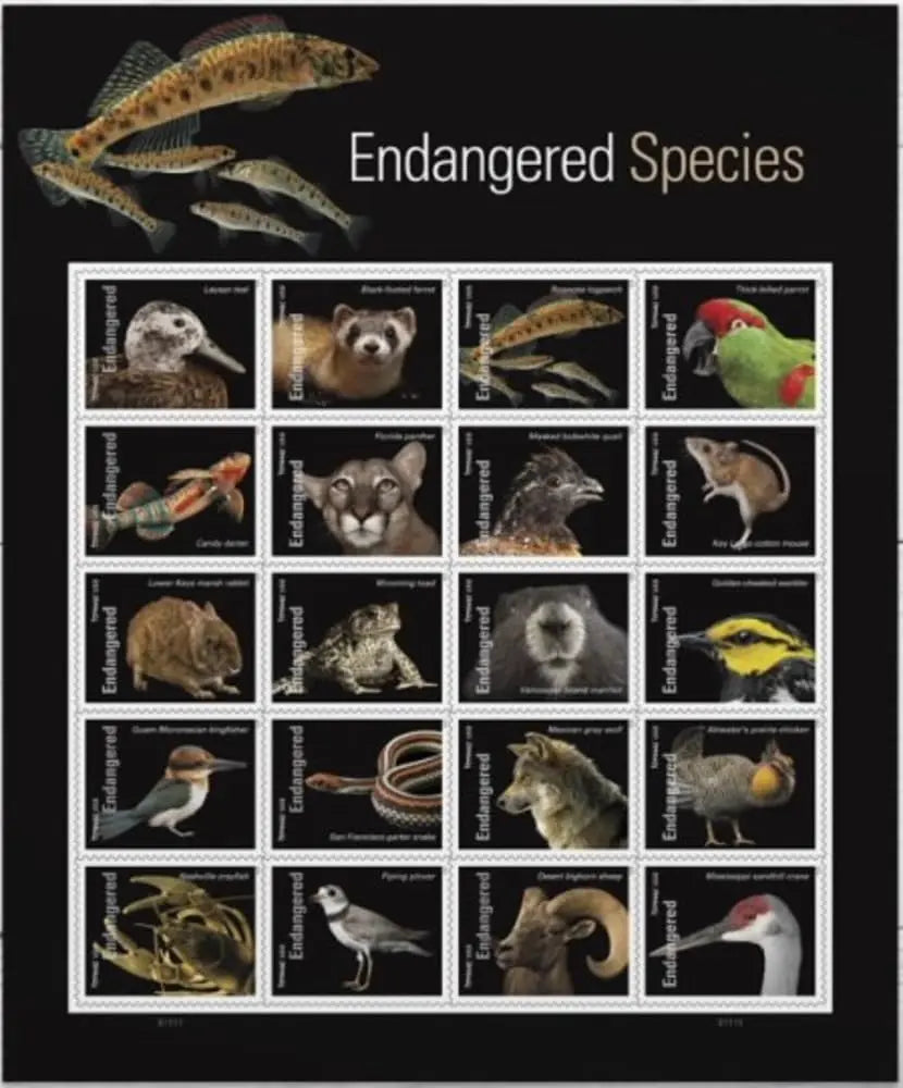 US 2023 Endangered Species Forever Stamp Sheets of 20