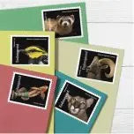 US 2023 Endangered Species Forever Stamp Sheets of 20