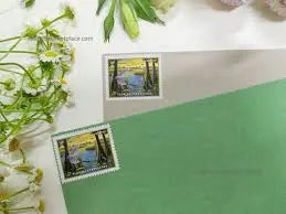 2023  US  Florida  Everglades  Priority  Mail  Stamps Sheets of 4
