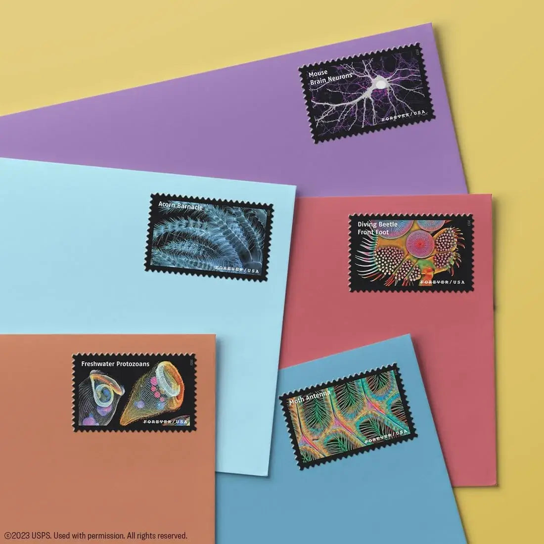 2023 US Life Magnified Forever Stamp Sheets of 20