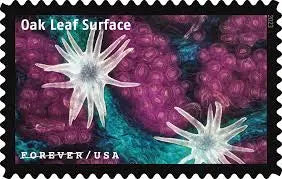 2023 US Life Magnified Forever Stamp Sheets of 20