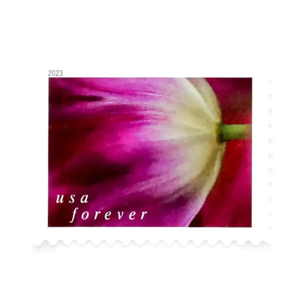 2023 US Tulip Blossoms Forever Stamp Sheets of 20