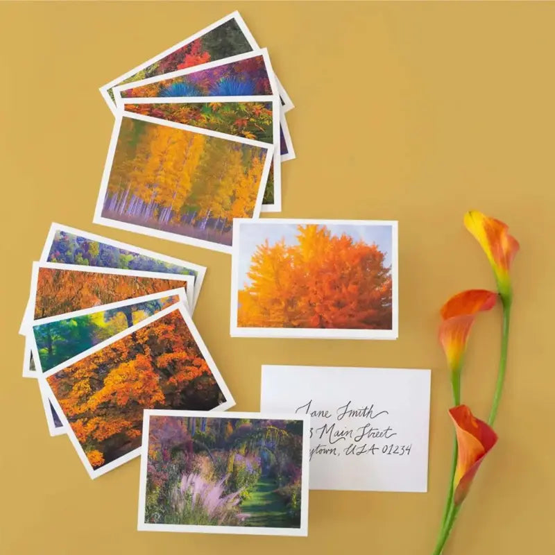 2024 US Autumn Colors Forever Stamps Sheets of 20