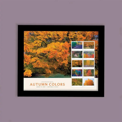2024 US Autumn Colors Forever Stamps Sheets of 20