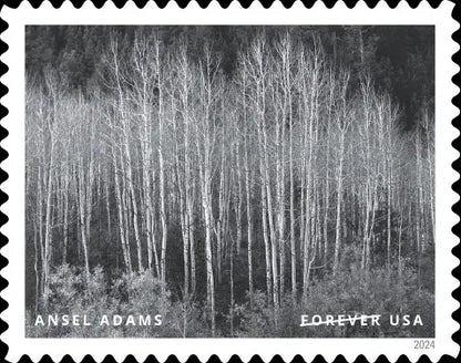 2024 us forever stamps-Ansel Adams Sheets of 16