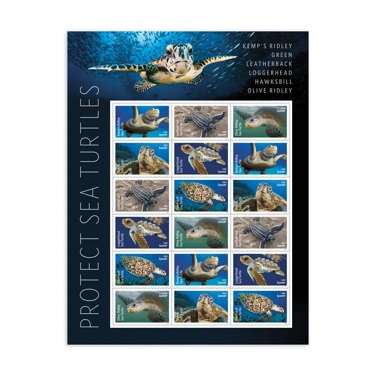 2024 Protect Sea Turtles Stamps Sheets of 18