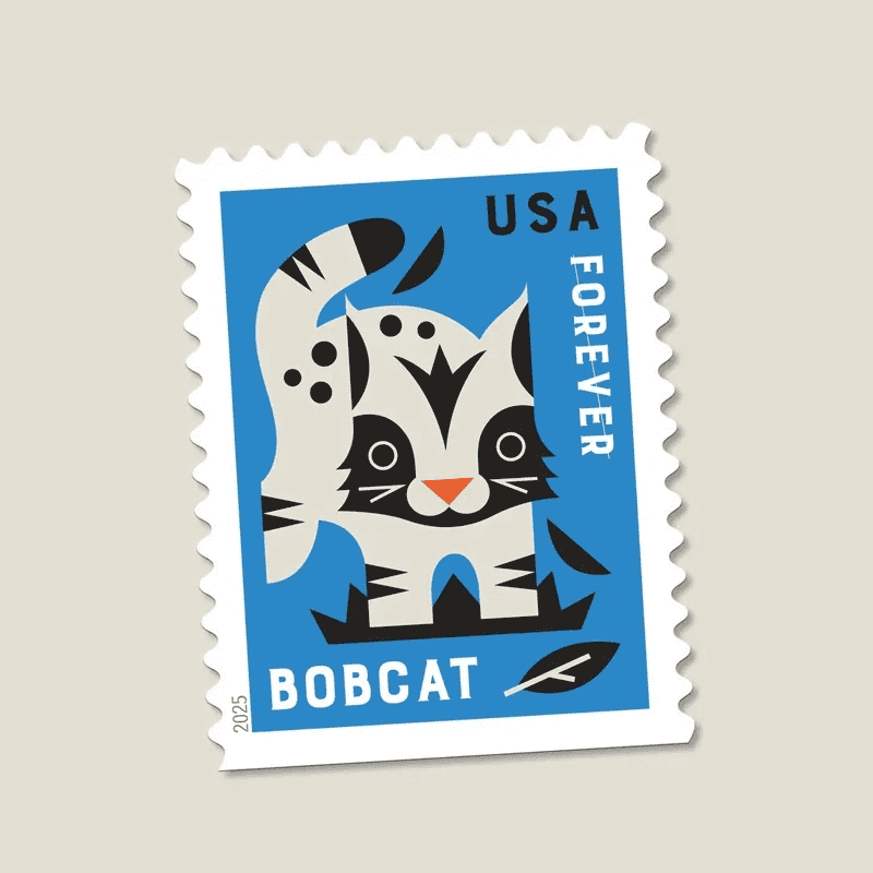 2025 Baby Wild Animals Stamps Sheets of 20