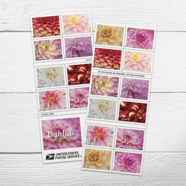 2025 Dahlias Stamps Sheets of 20