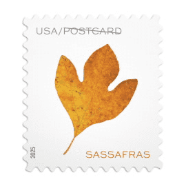 2025 Vibrant Leaves Postcard Stamps Sheets of 20