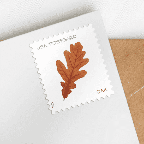 2025 Vibrant Leaves Postcard Stamps roll of 100