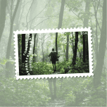 2025 The Appalachian Trail Forever Stamps Sheets of 15