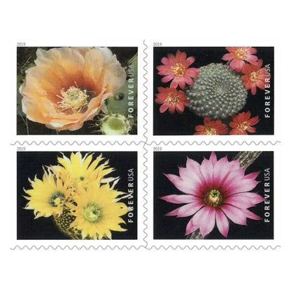 2019 Cactus Flowers Forever First Class Postage US Stamps Sheets of 20