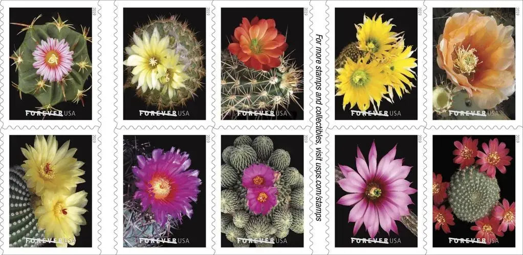 2019 Cactus Flowers Forever First Class Postage US Stamps Sheets of 20