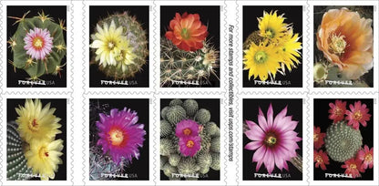 2019 Cactus Flowers Forever First Class Postage US Stamps Sheets of 20